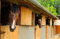 free Lower Stoke stable construction quotes